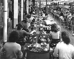 Women on the production line at Garrads - a Plessey subsidary